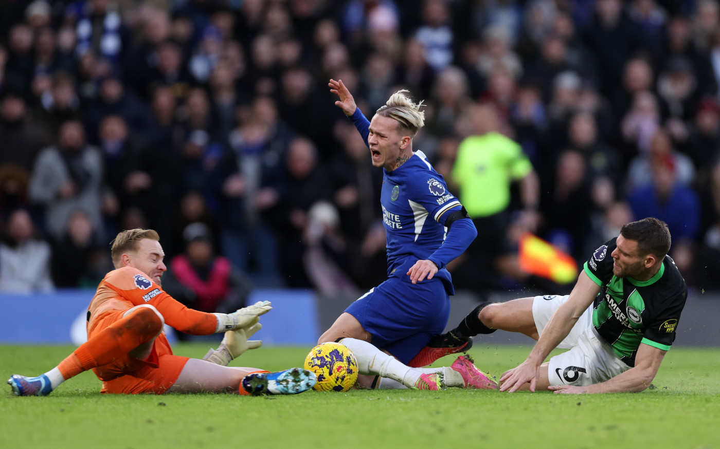 Chelsea fc down fill discount